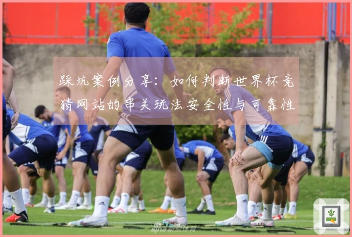 踩坑案例分享：如何判断世界杯竞猜网站的串关玩法安全性与可靠性
