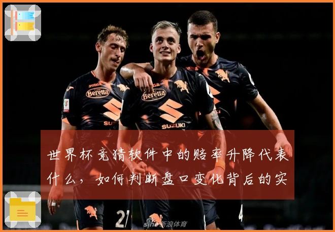 世界杯竞猜软件中的赔率升降代表什么，如何判断盘口变化背后的实际含义