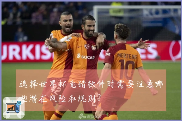 选择世界杯竞猜软件时需要注意哪些潜在风险和规则？
