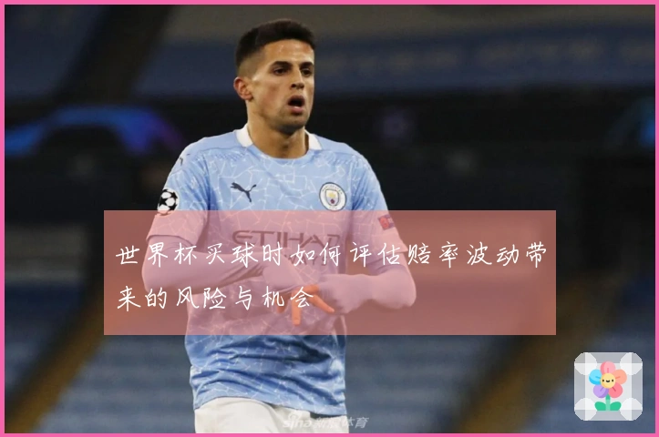 世界杯买球时如何评估赔率波动带来的风险与机会