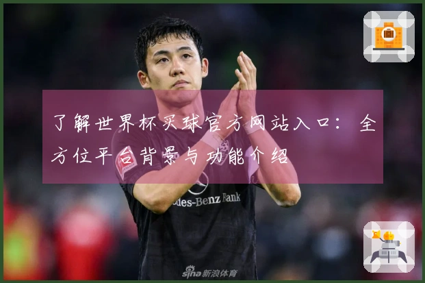 了解世界杯买球官方网站入口：全方位平台背景与功能介绍
