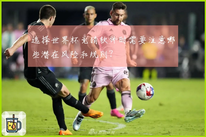 选择世界杯竞猜软件时需要注意哪些潜在风险和规则？