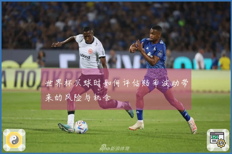世界杯买球时如何评估赔率波动带来的风险与机会