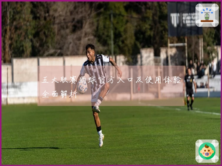 五大联赛购球官方入口及使用体验全面解析