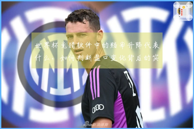 世界杯竞猜软件中的赔率升降代表什么，如何判断盘口变化背后的实际含义