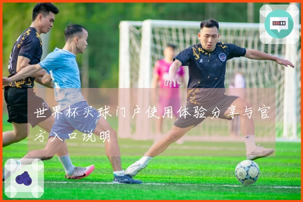 世界杯买球门户使用体验分享与官方入口说明