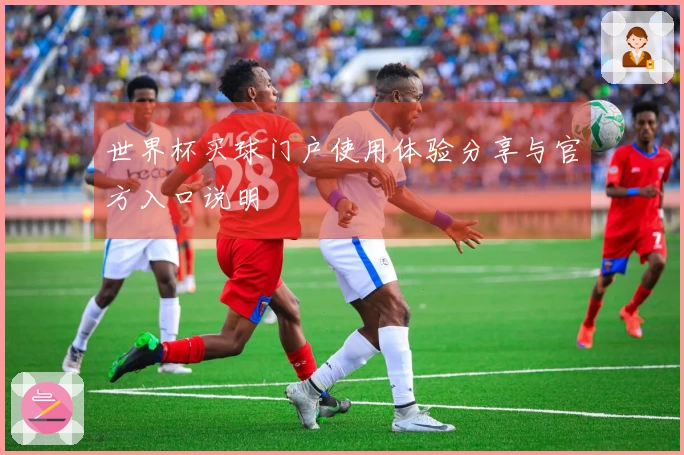 世界杯买球门户使用体验分享与官方入口说明