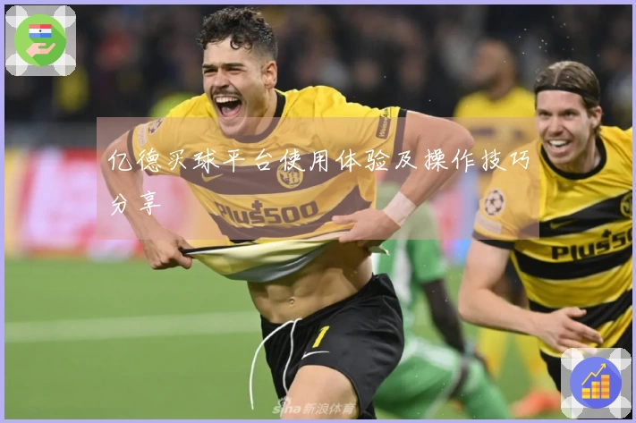 亿德买球平台使用体验及操作技巧分享