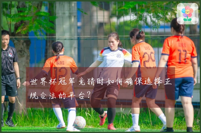世界杯冠军竞猜时如何确保选择正规合法的平台？