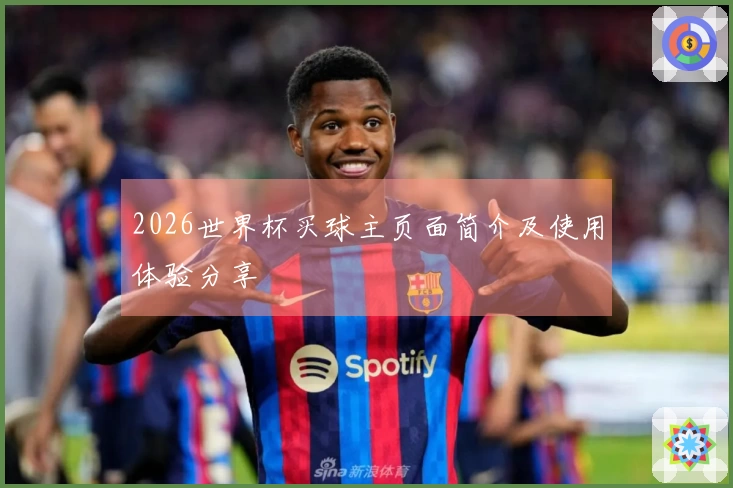 2026世界杯买球主页面简介及使用体验分享