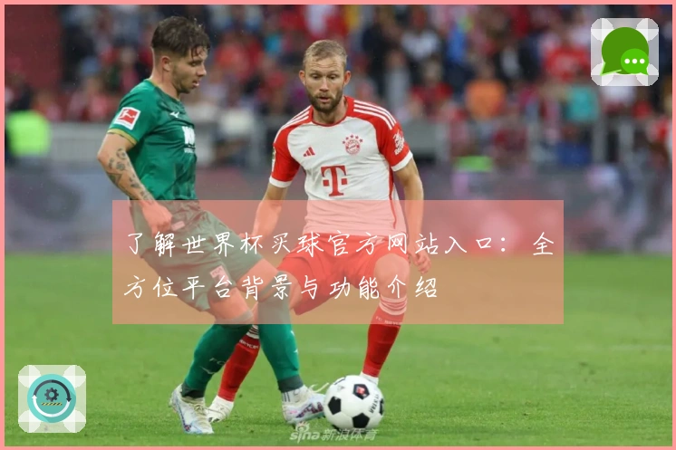 了解世界杯买球官方网站入口:全方位平台背景与功能介绍