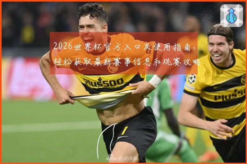 2026世界杯官方入口及使用指南,轻松获取最新赛事信息和观赛攻略