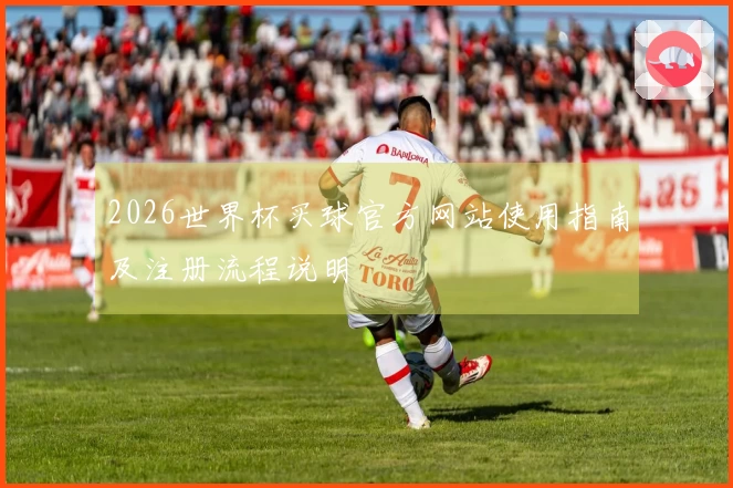 2026世界杯买球官方网站使用指南及注册流程说明